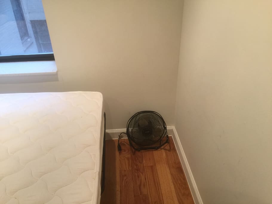 Electric Fan