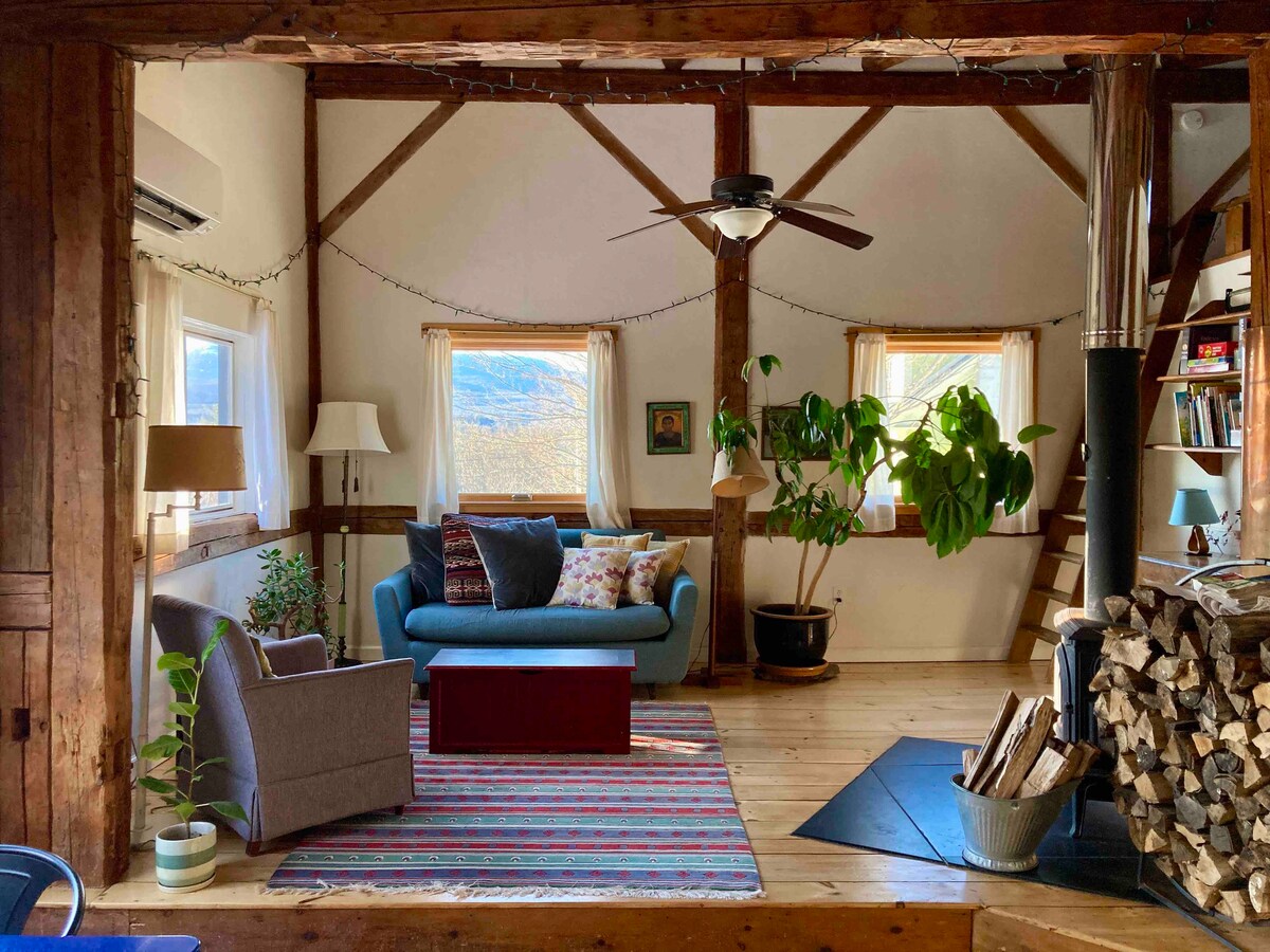 The living area features exposed post-and-beam construction with wood flooring. A comfortable couch, armchair, and coffee table are arranged around a wood stove, providing a welcoming space. Natural light enters through two windows, complemented by decorative plants and a colorful area rug.