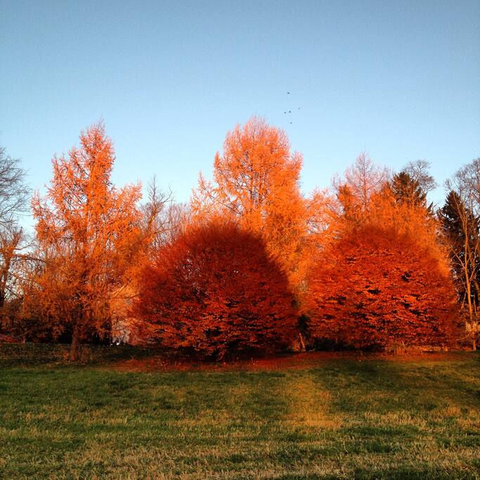 Fall colors at Sweetbrier