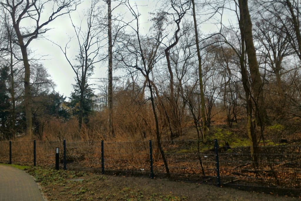angrenzender Park