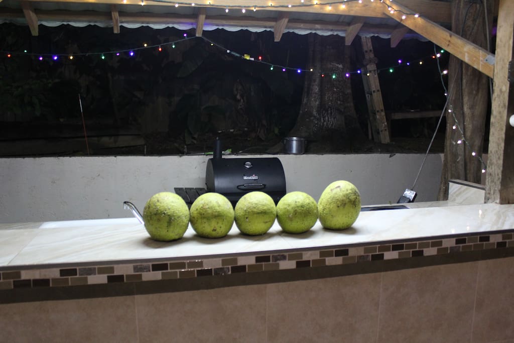 Breadfruit from the property