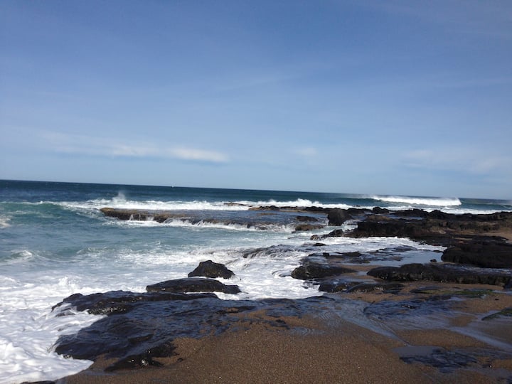 Top 10 PetFriendly Airbnbs In Yachats, Oregon Updated 2024 Trip101