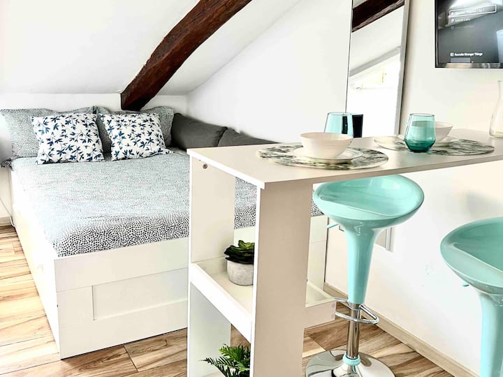 Turin Vacation Rentals & Homes Piedmont, Italy Airbnb