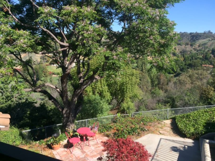 The view from your veranda.