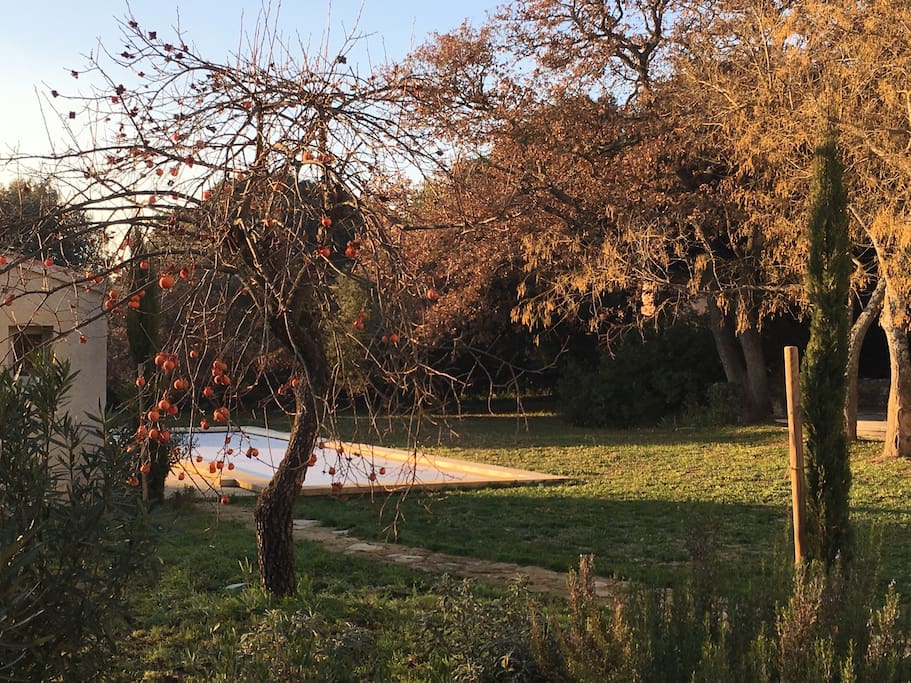 Automne - Hiver