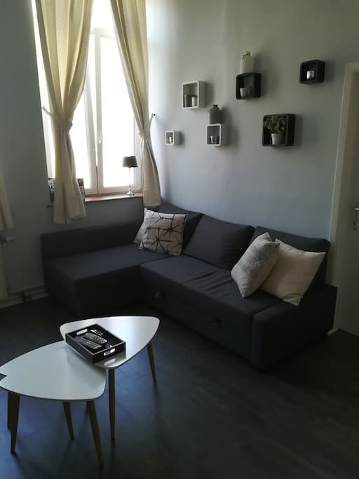 Salon avec canapé lit - Living room with sofa (2 places)