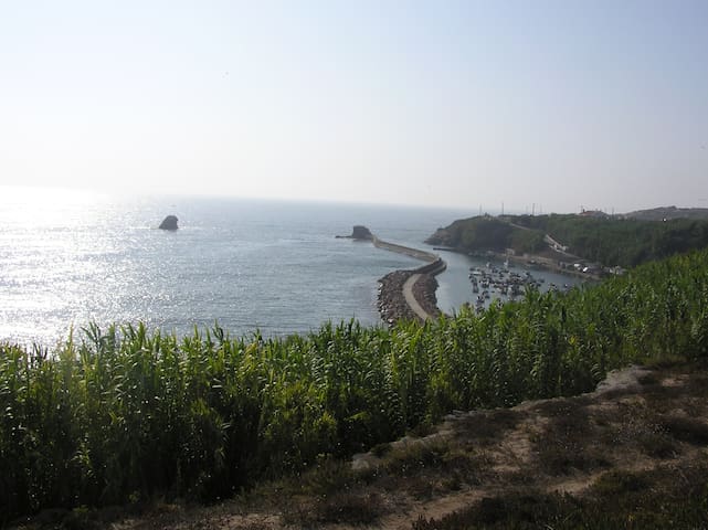 Monte Alentejano Costa Vicentina,3minDRIVEfromCITY