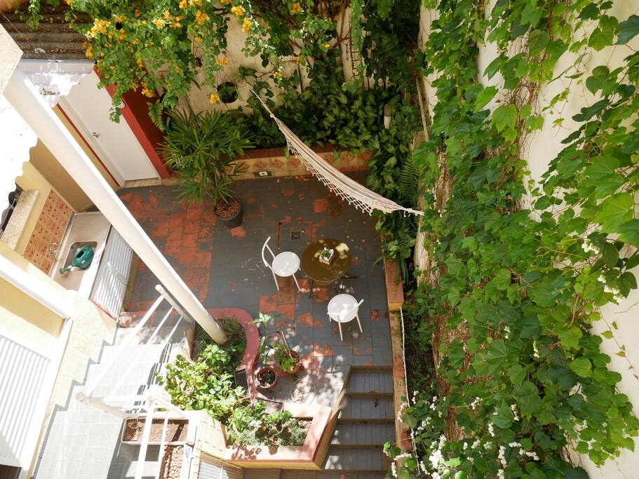 O quintal - The backyard