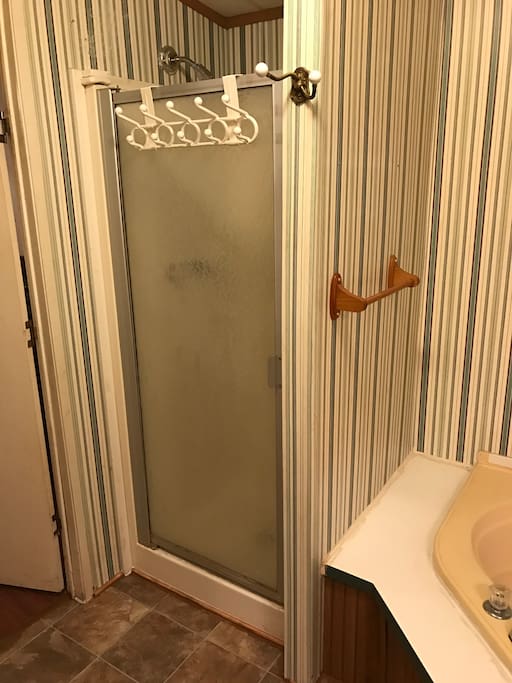 Master shower next to heart ❤️ tub.