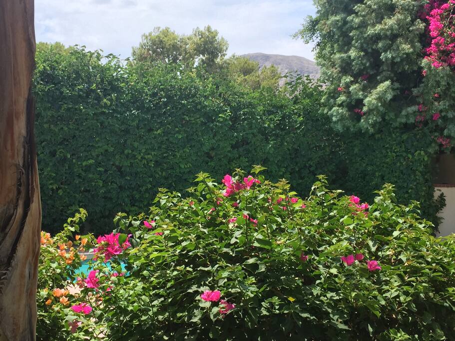 View of the mountains.