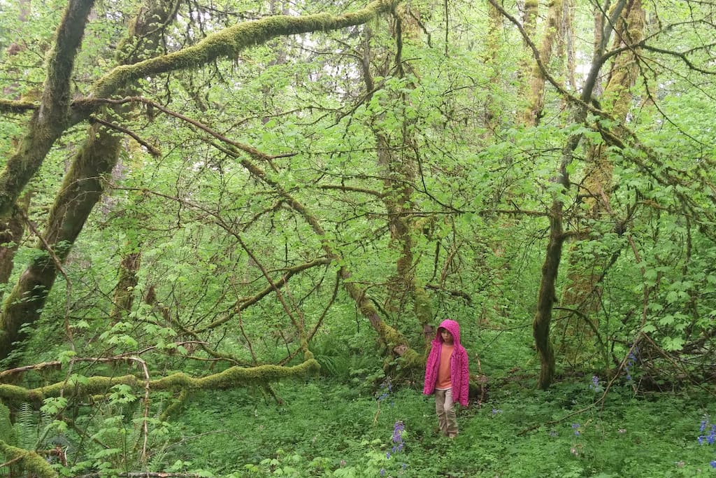 Let Your Inner Child Play on Ten Minute Walk on Deer Trail (Spring)