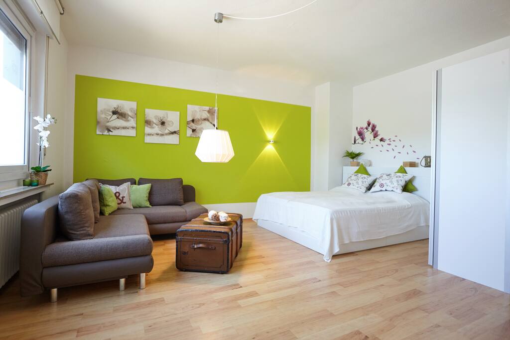 Küche, Couch, Fernseher, Bett, alles in einem großen Raum