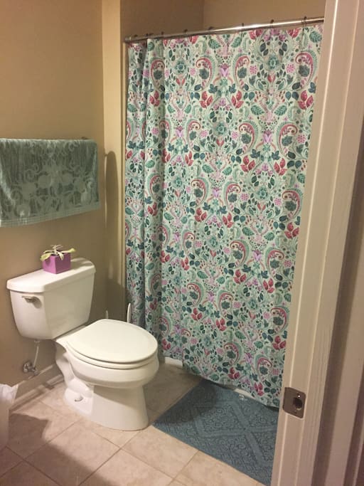 Private guest bathroom
