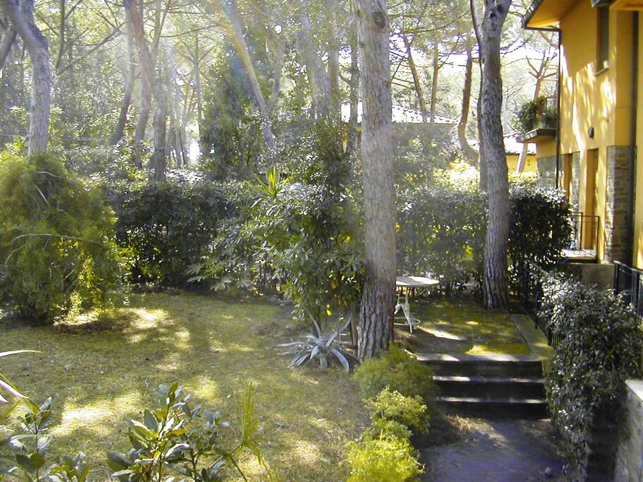 Giardino