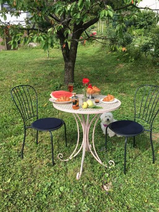 We can offer you wellcome breakfast