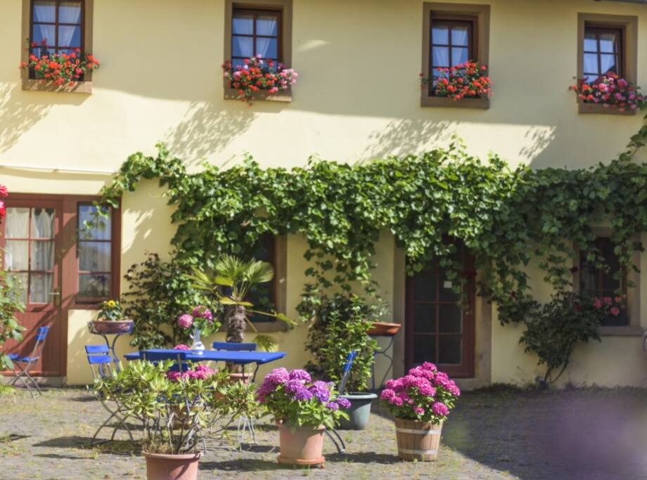 Der rebenbewachsene Winzerhof