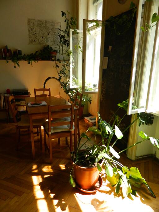 Living room - Eating table