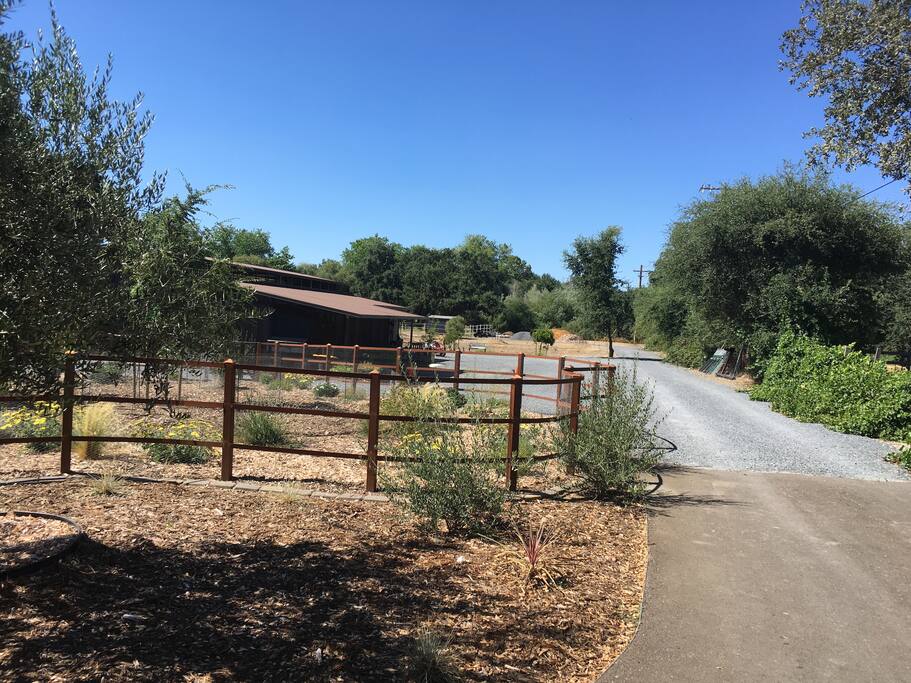 To the right of the barn is the RV spot. Behind fence is our chicken yard and flower garden.