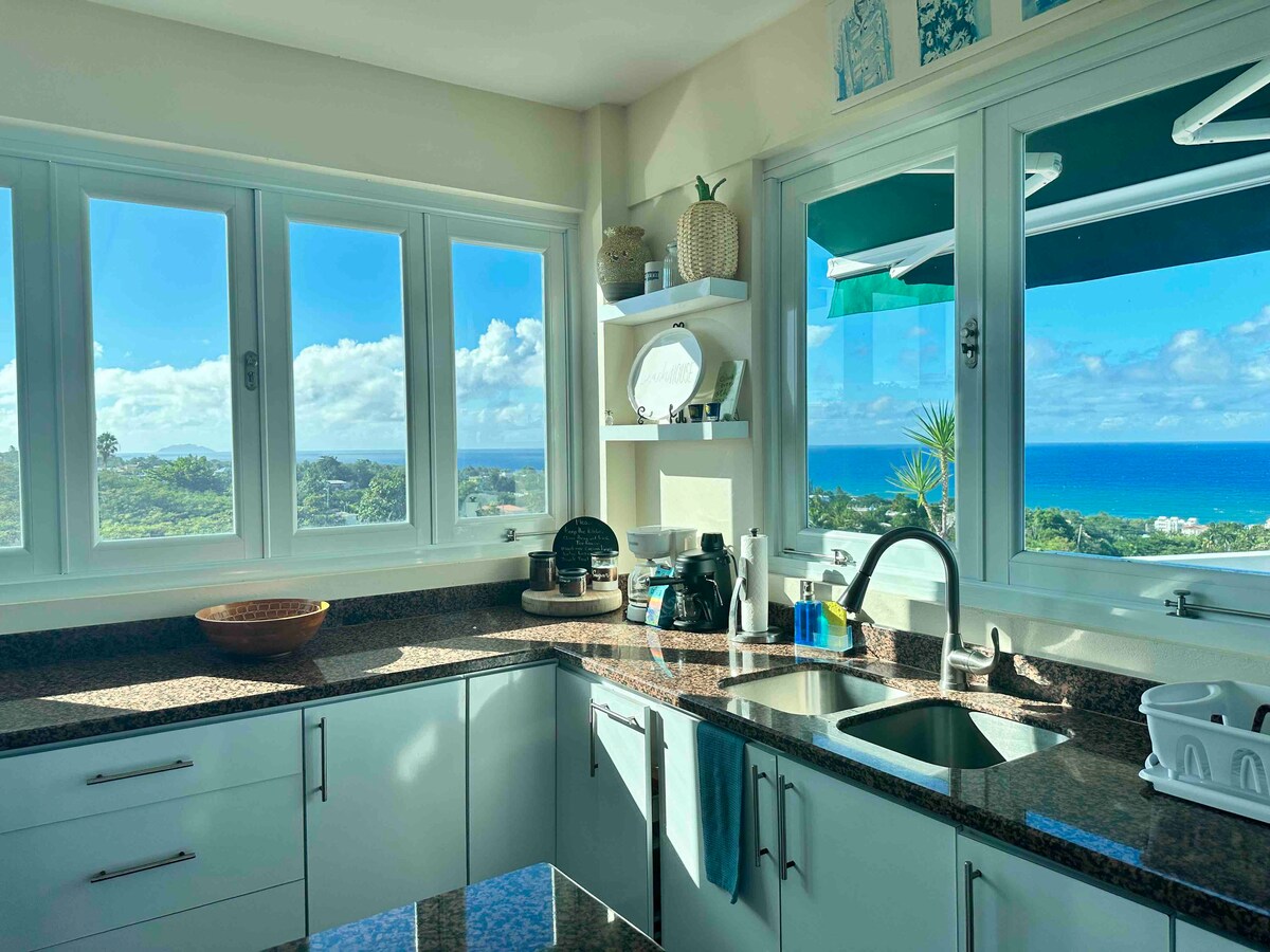 A modern kitchen is showcased with sleek cabinetry and a spacious countertop. Large windows frame breathtaking ocean views, allowing natural light to brighten the space. Culinary tools and a decorative bowl accent the area, enhancing the functional yet inviting ambiance.