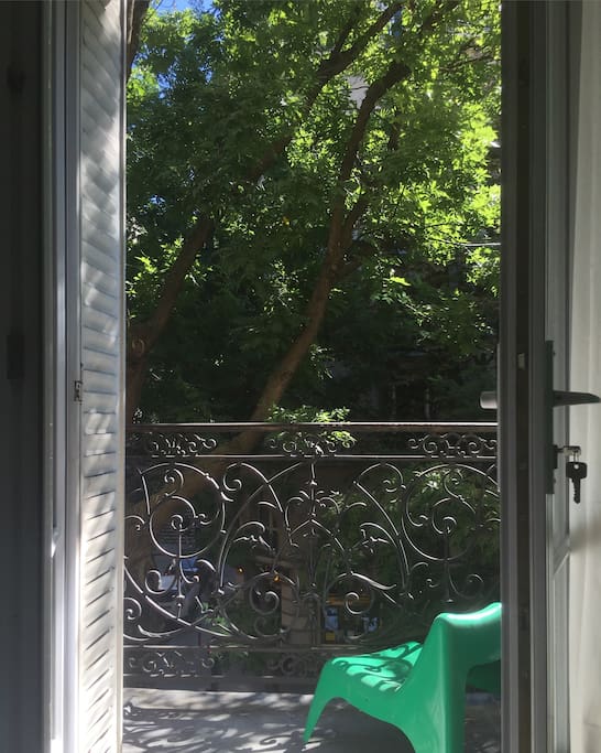 Jungle montmartroise depuis le balcon.