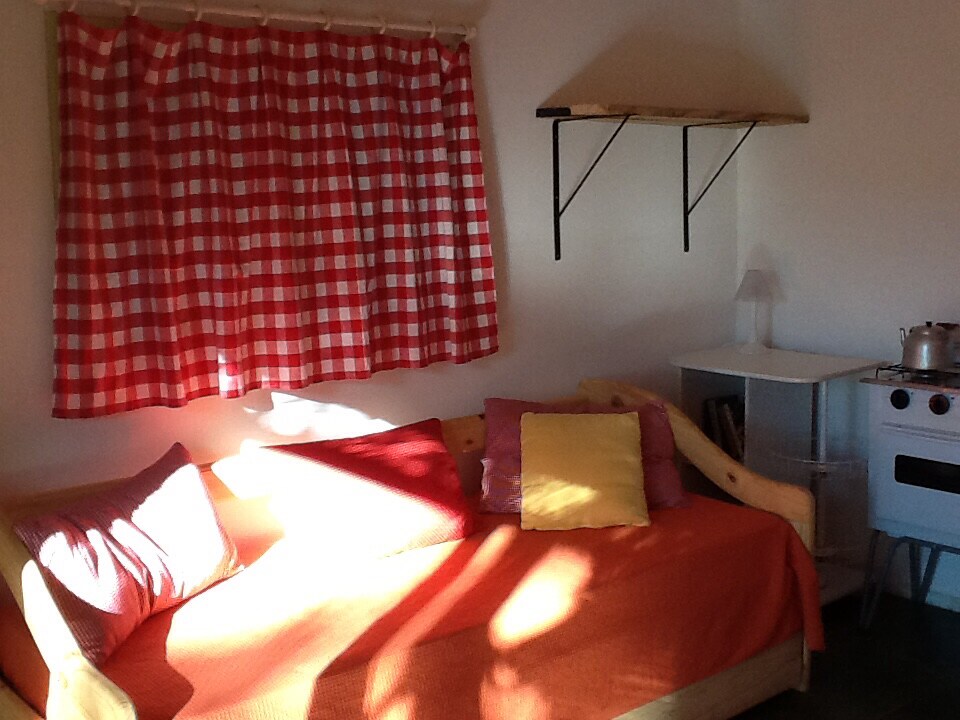 Ნათელი და ფერადი