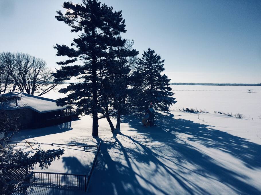 Winter birds eye view