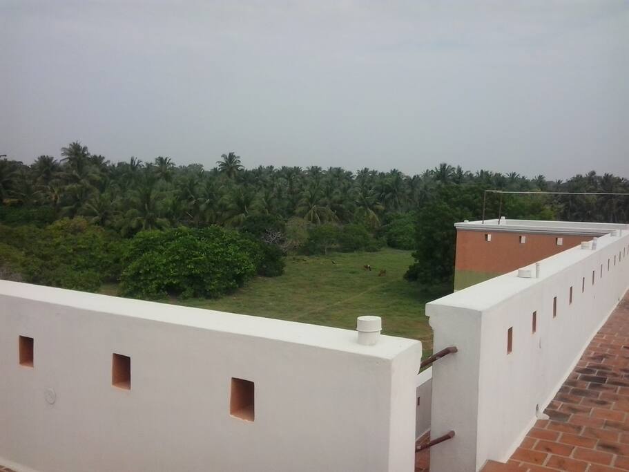 Terrace with forest views
