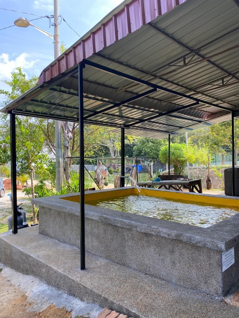 An outdoor area features a sturdy structure with a metal roof overhead. A rectangular, shallow pond is lined with a bright edge, surrounded by greenery and a gravel path. Nearby, picnic tables and additional seating are visible, creating a serene atmosphere.