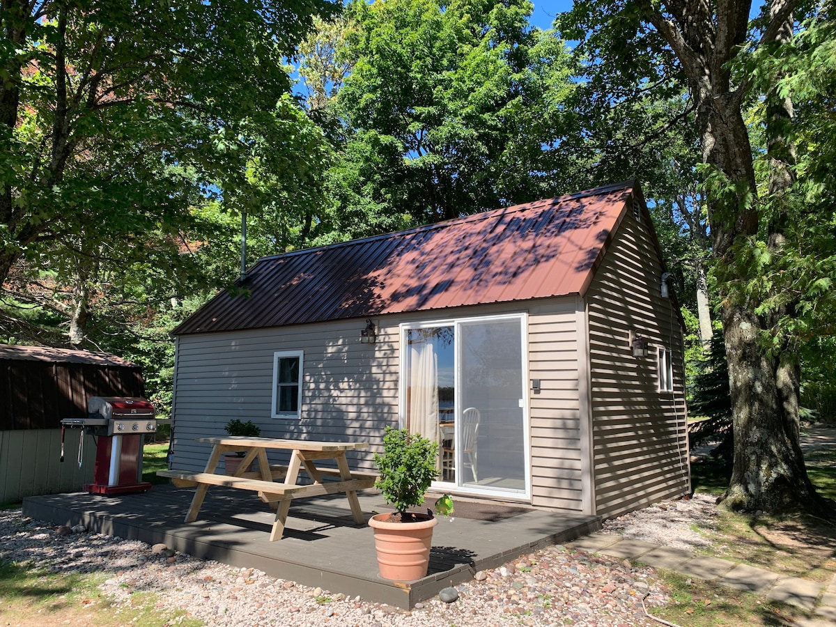 A charming cabin is set amidst lush greenery, featuring a metal roof and light-colored siding. A spacious deck with a picnic table and a potted plant is visible. A grill is positioned nearby, under a tree canopy that provides natural shade.