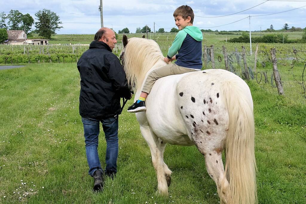 Oskar our host of Australia in May which returns the horse to the box