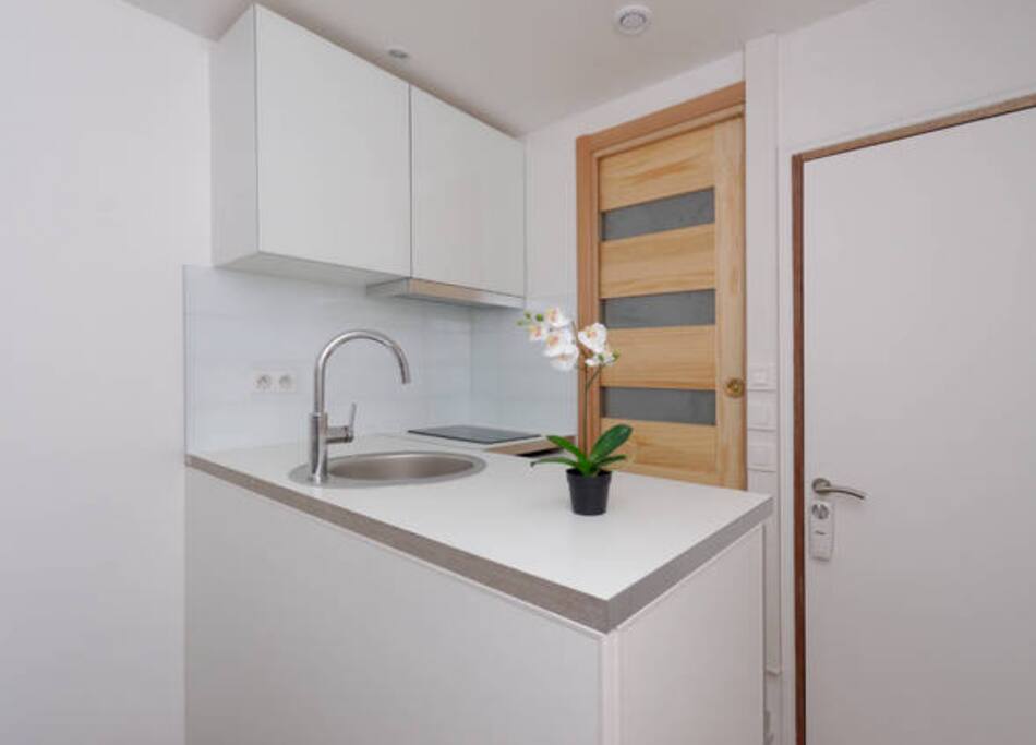 Brand new, fully equipped kitchen with glass cabinet doors. Includes an induction stove top, microwave oven, extractor hood, and cutlery.
