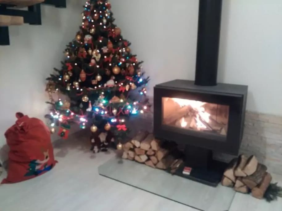 at Christmas time