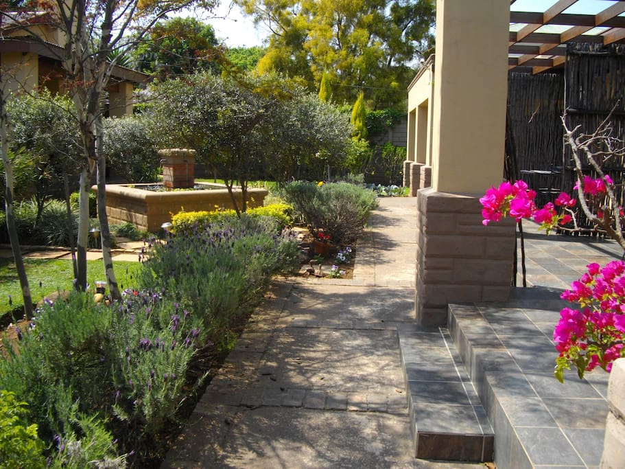 Tranquil garden