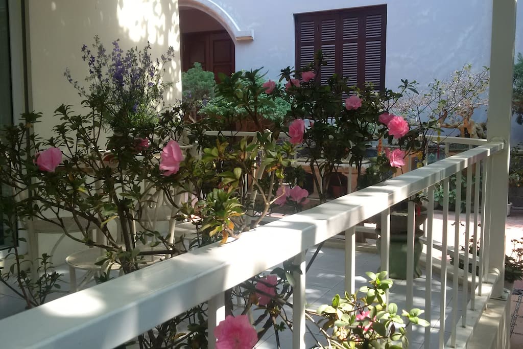 Pink Flowers,