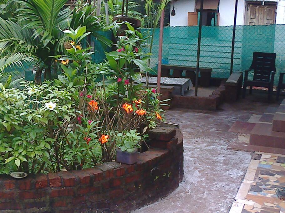 green oasis