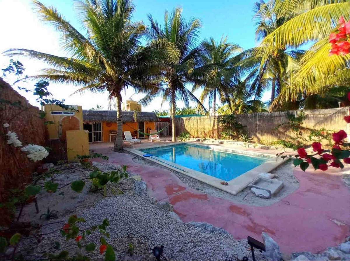 A tropical backyard features a filtered swimming pool surrounded by palm trees and lush vegetation. The pool area includes a terraced deck and is bordered by a concrete path, with sandy areas visible in the landscape. Bright light illuminates the scene, creating a sunny atmosphere.