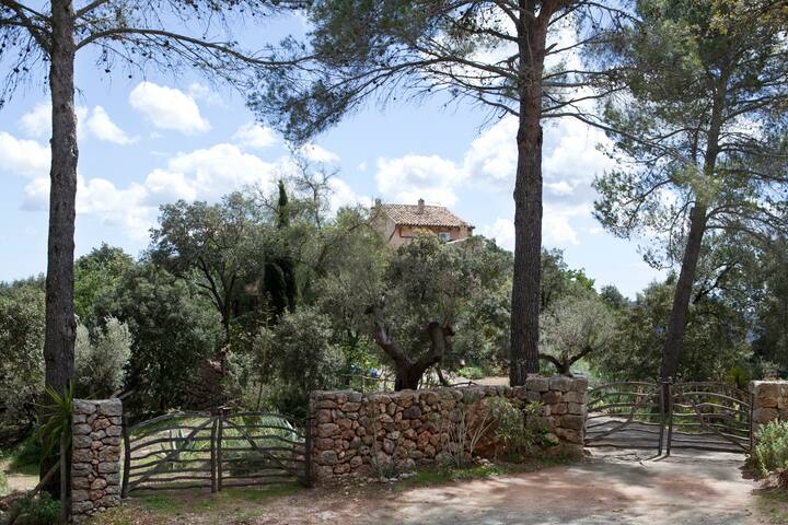 Villa with amazing views in a peaceful location gallery image 5