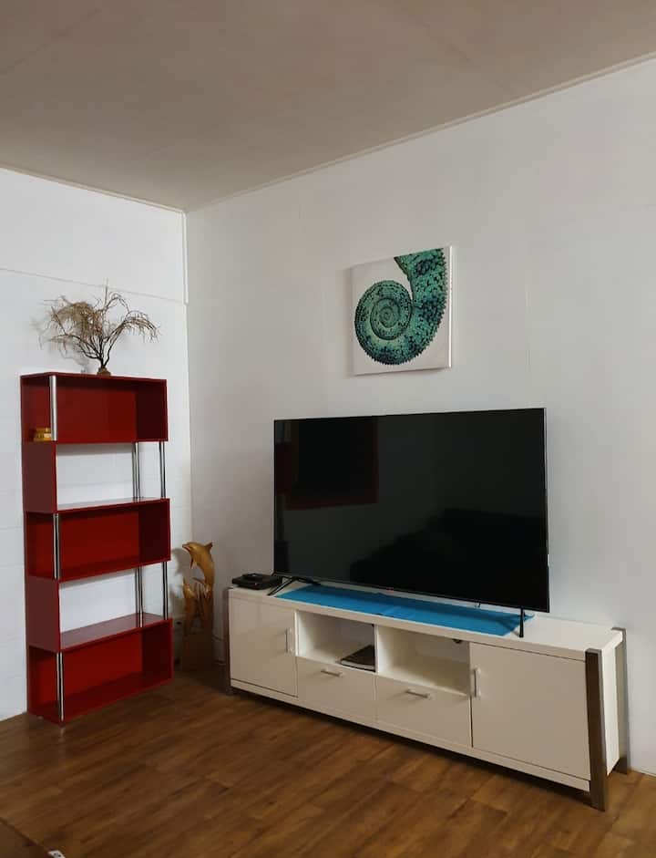 Top 10 Pet & DogFriendly In Yeppoon, Australia