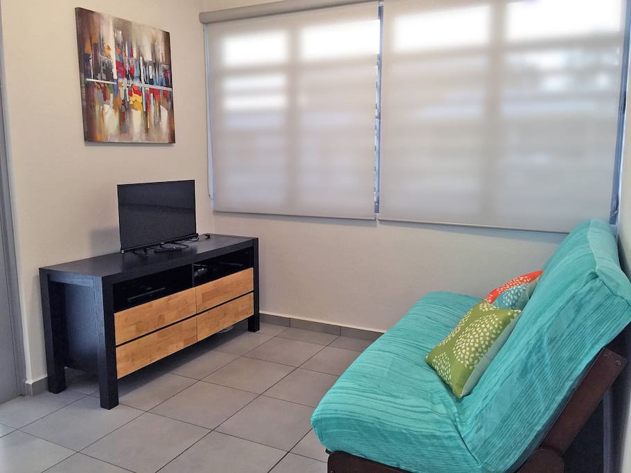 Living Room w/ Futon
