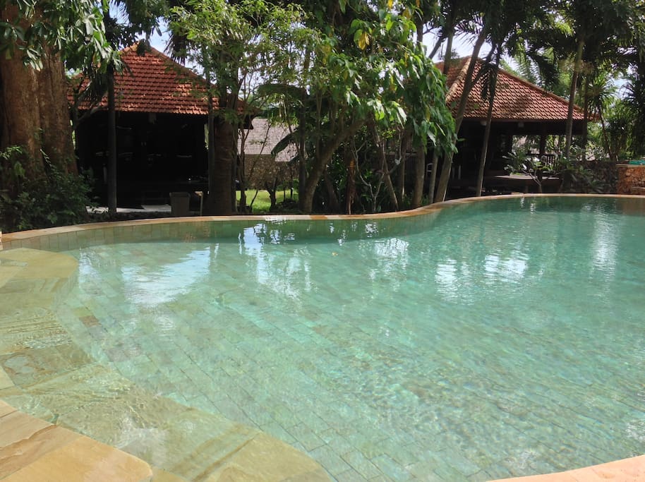 Pool with the bungalow in the back