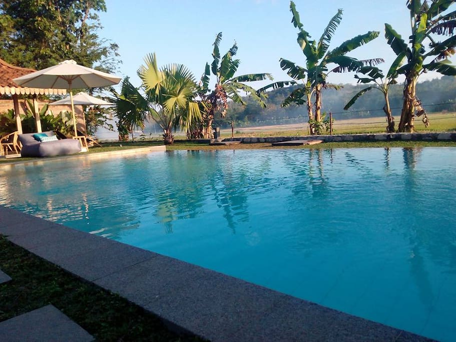 Our Pool