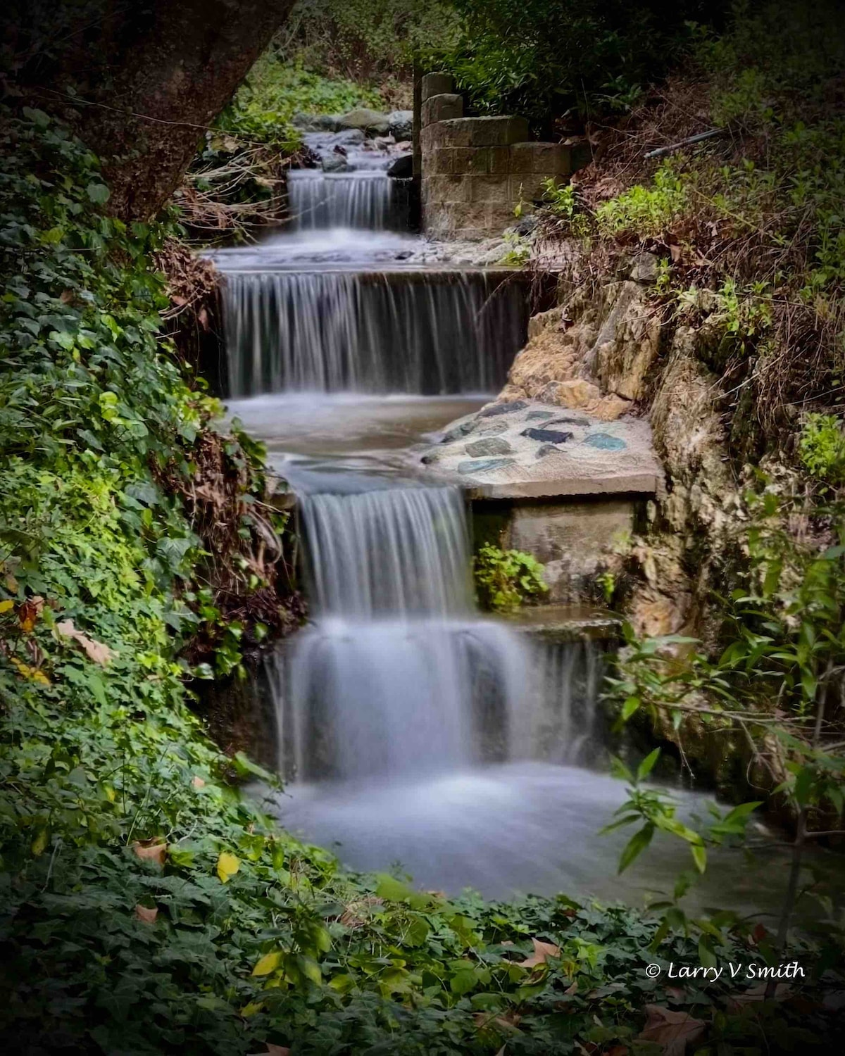 A serene creek gently cascades over rocks, creating several small waterfalls. Lush greenery surrounds the water, with vibrant foliage weaving through the landscape, inviting a sense of tranquility and connection to nature.