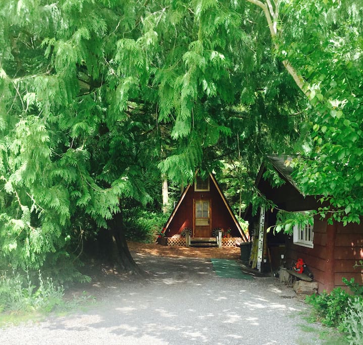 At the end of our driveway, our little A-frame nestles in the woods behind the garage