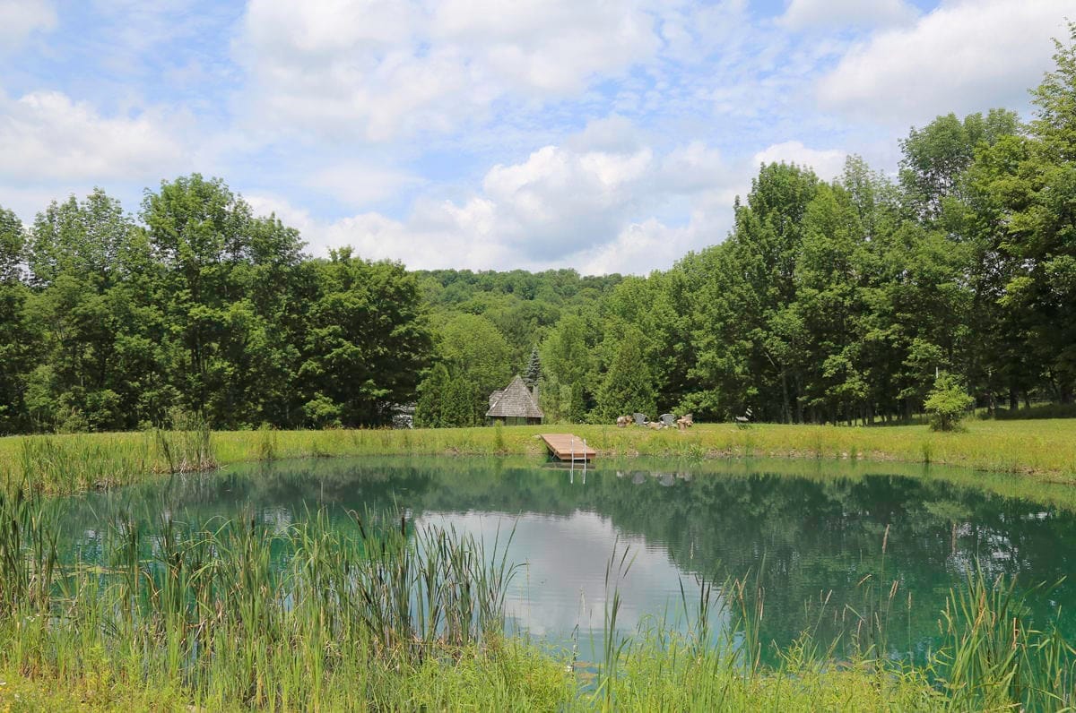 A tranquil pond reflects the surrounding lush greenery and cloudy sky. The still water mirrors the treetops, while tall grasses frame the edges. A wooden dock extends into the pond, providing a serene spot to enjoy the natural beauty.