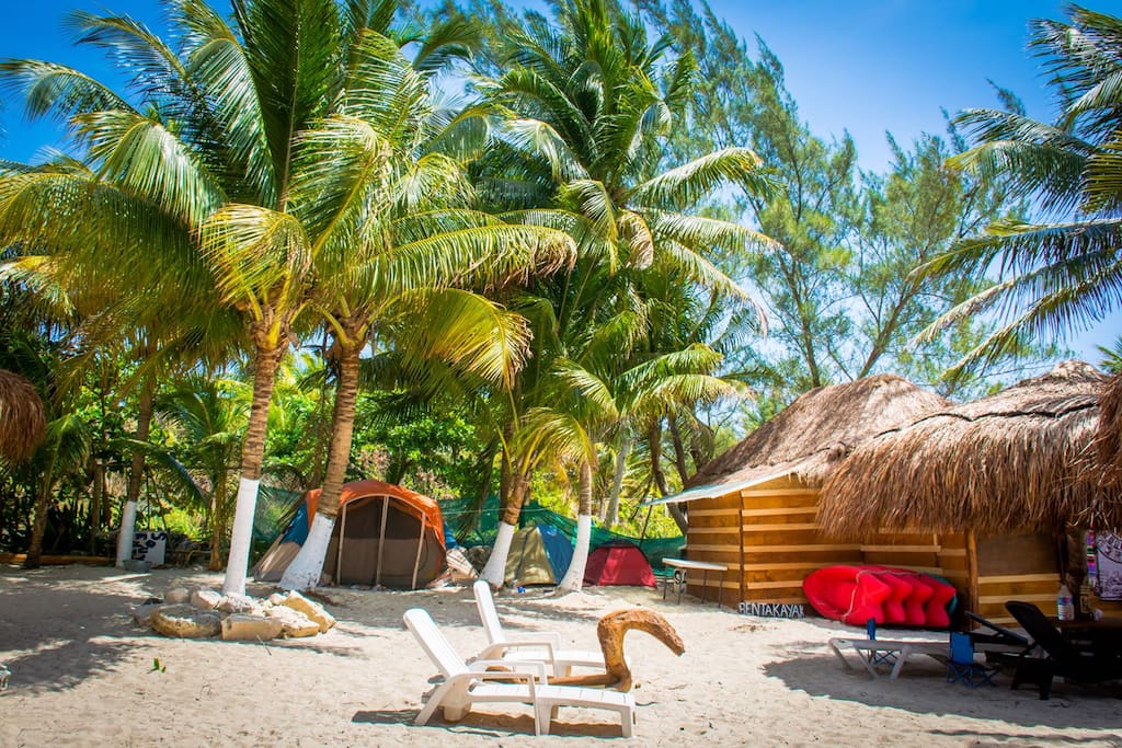 Your tent is located right on the sand under a verdant tropical canopy