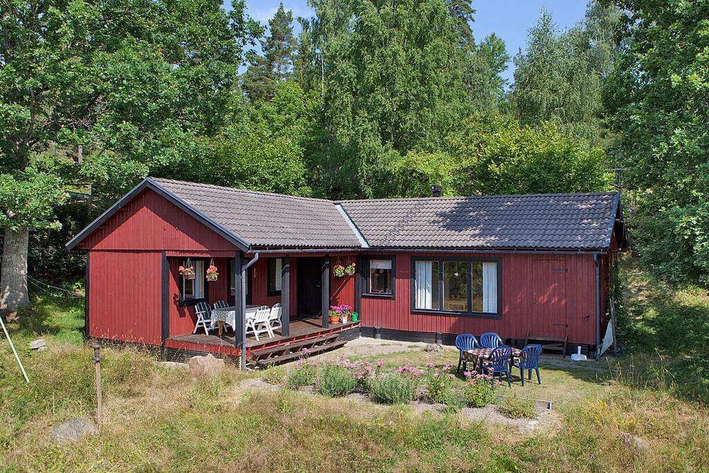 The house and part of the garden