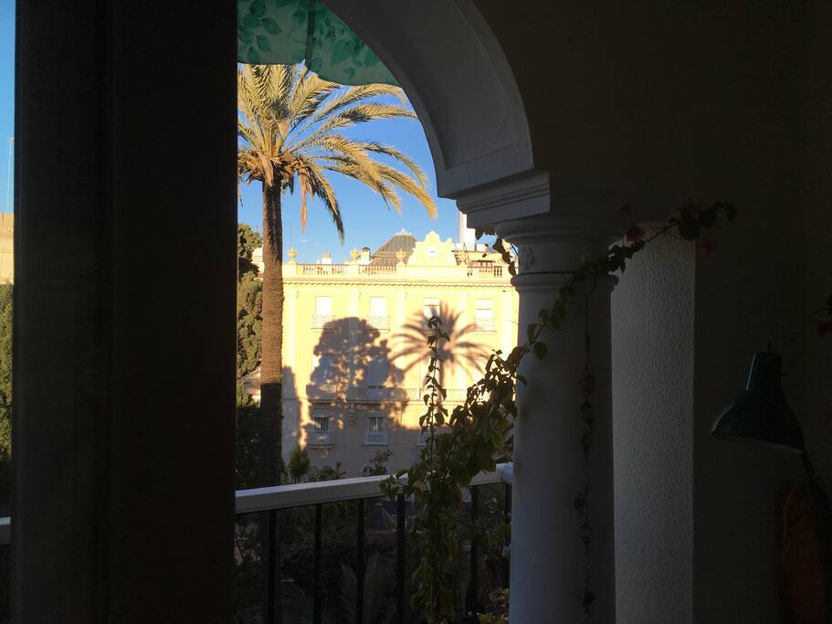 Morning shadows /Sombras de la mañana / Ombres du matin