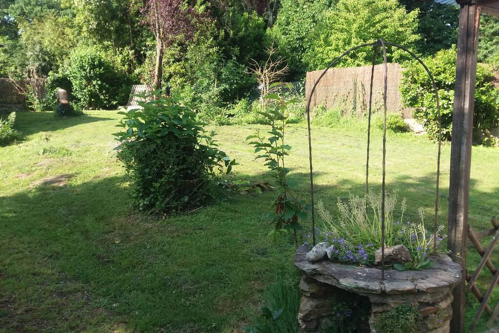 Back garden