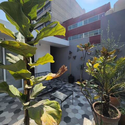 Hermosa Casa Azul en el corazón de la colonia Roma gallery image 4