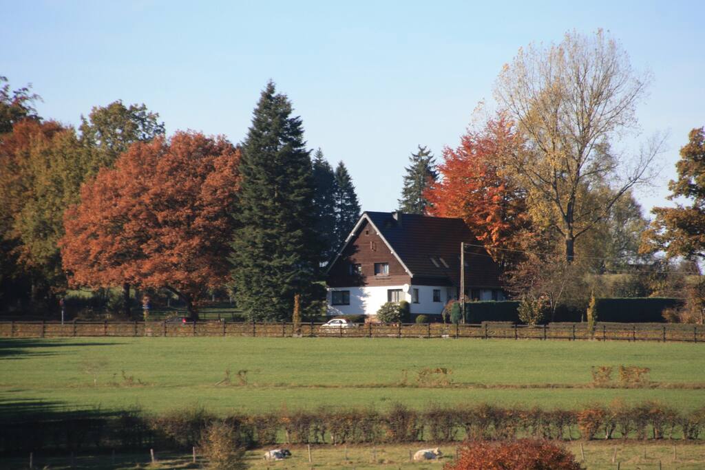 Autumn 2016 | Herbst 2016